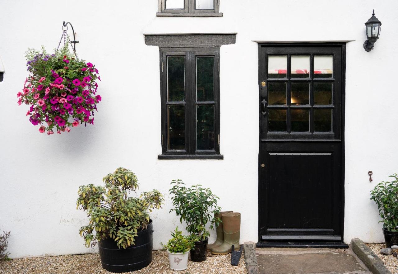 Woodview - Cosy 1840S Cottage In Chew Valley And Mendip Aonb Compton Martin Exteriör bild