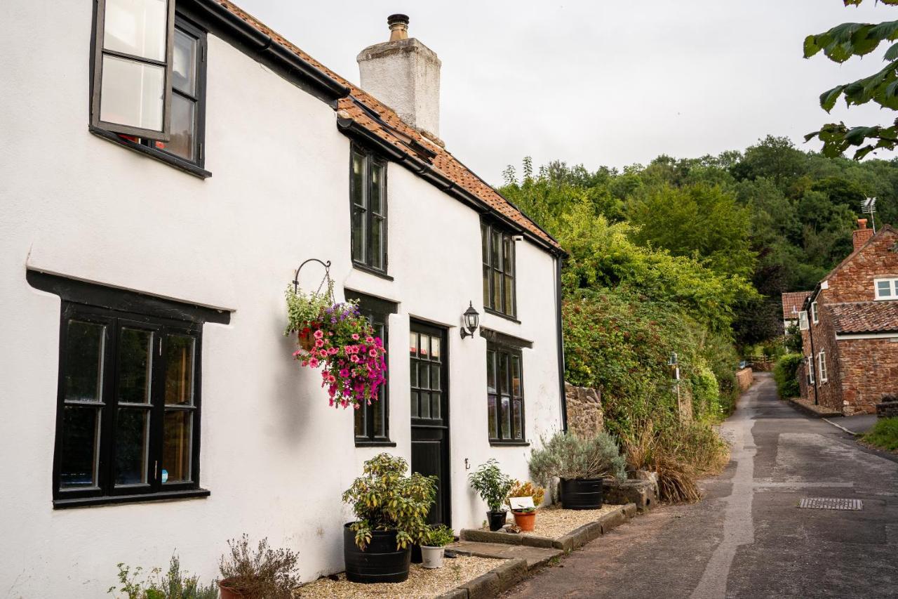Woodview - Cosy 1840S Cottage In Chew Valley And Mendip Aonb Compton Martin Exteriör bild