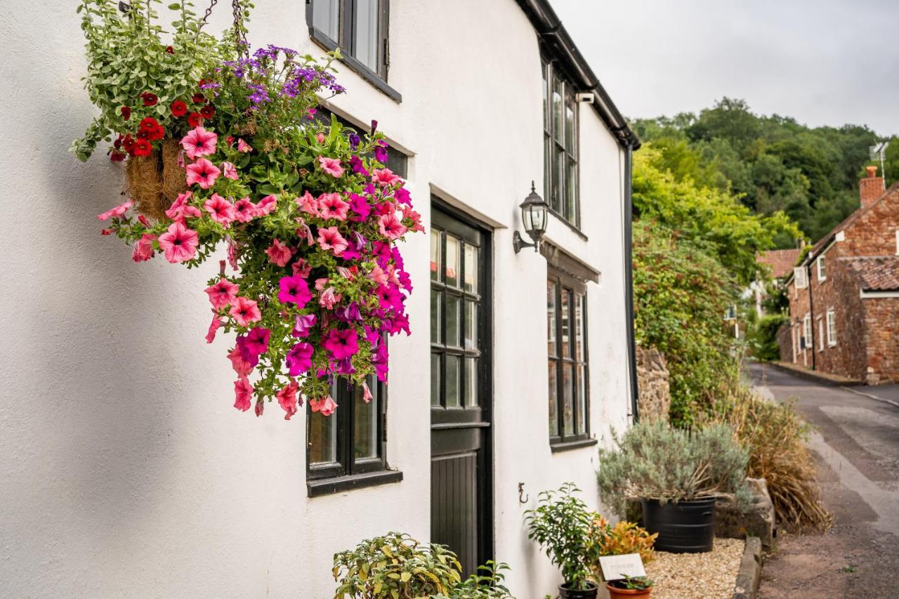 Woodview - Cosy 1840S Cottage In Chew Valley And Mendip Aonb Compton Martin Exteriör bild