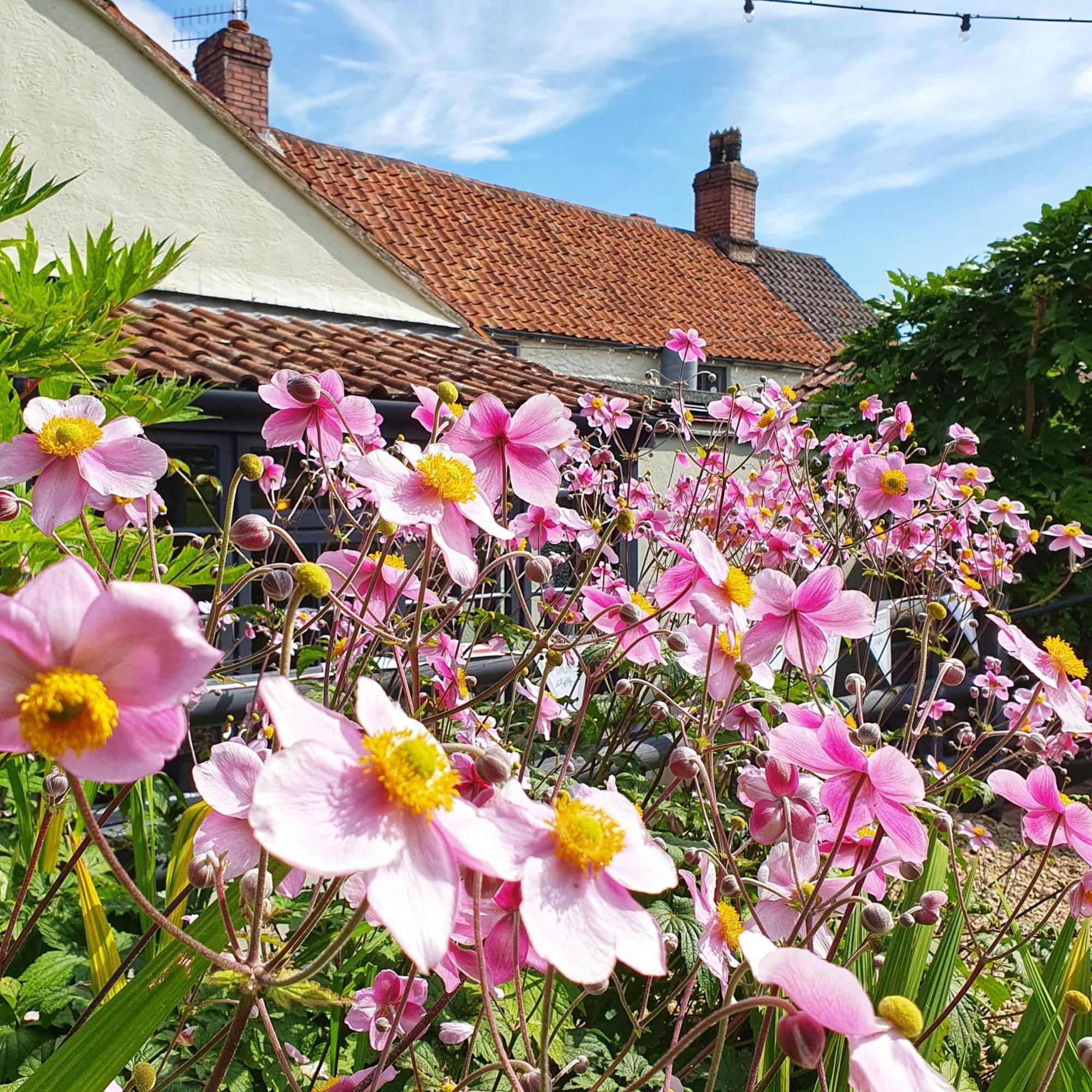 Woodview - Cosy 1840S Cottage In Chew Valley And Mendip Aonb Compton Martin Exteriör bild